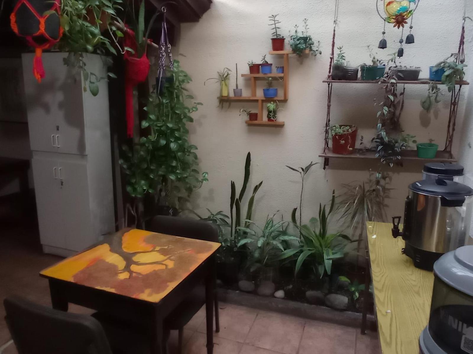 Hostel Casa Ridgway San José Esterno foto